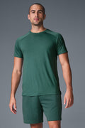Triumph Raglan Tee - Winter Ivy